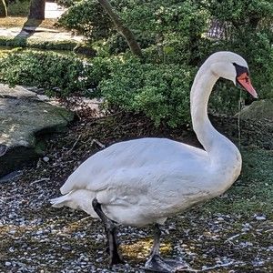 Meet your Posher, Khristina